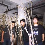 Kuda Pacuan – KUDA-KUDA’AN BARENG KUDA PACUAN!